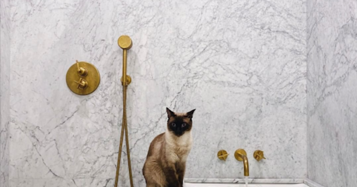 Thermostatic-Shower-Valve-Buying-Guide-Pressure-Balance-vs.-Thermostatic-Shower-Valves_1