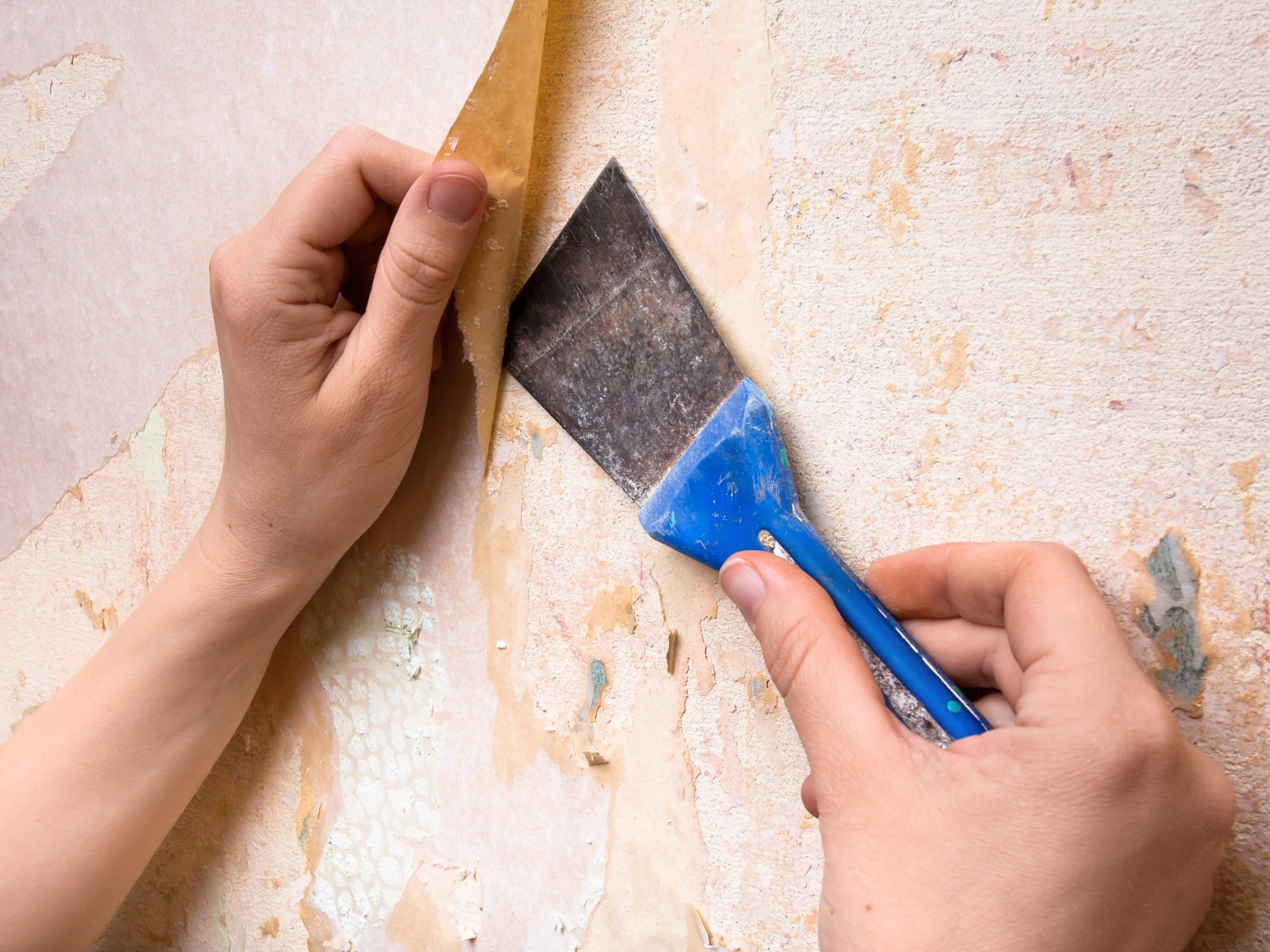 How to choose the best wallpaper glue
